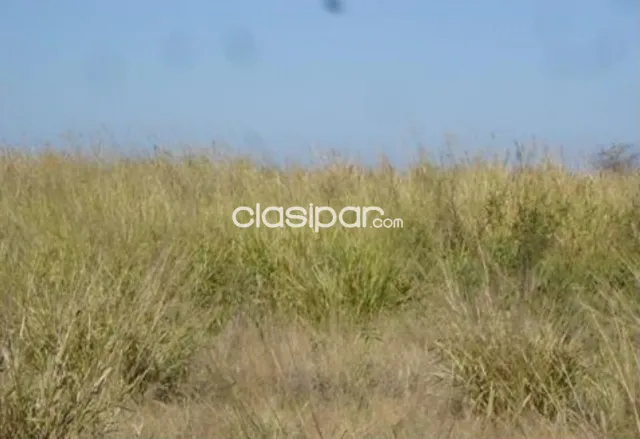Campo de 3.904 Hectáreas en Fuerte Olimpo, Alto Paraguay - CLCS6637780, foto 5