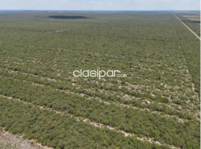 Propiedad Rural de 2.235 Hectáreas, Zona Tte. Martínez - CLCS6638370 — foto 2