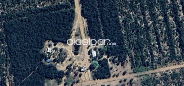 Propiedad Rural de 2.235 Hectáreas, Zona Tte. Martínez - CLCS6638370 — foto 4