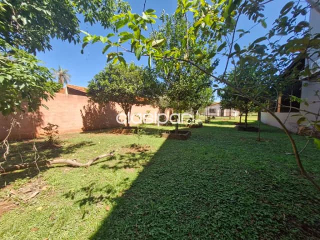 Terreno en Luque barrio mora cue cod 4351 — foto 5