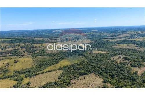 En venta propiedad ganadera en caaguazu — foto 3