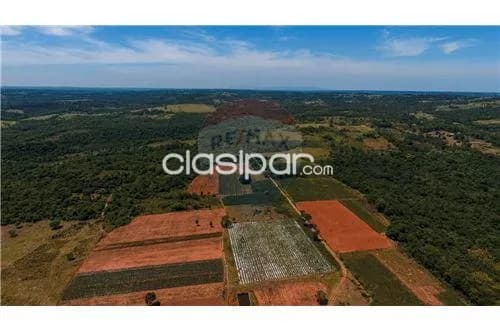 En venta propiedad ganadera en caaguazu — foto 4