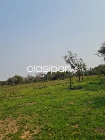 amplia propiedad en Luque Zona Ruta Luque - San Bernardino — foto 3