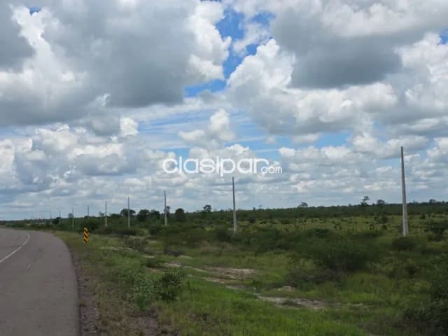 Campo en Carmelo Peralta sobre la Ruta Bioceanica - 80 Ha, foto 2