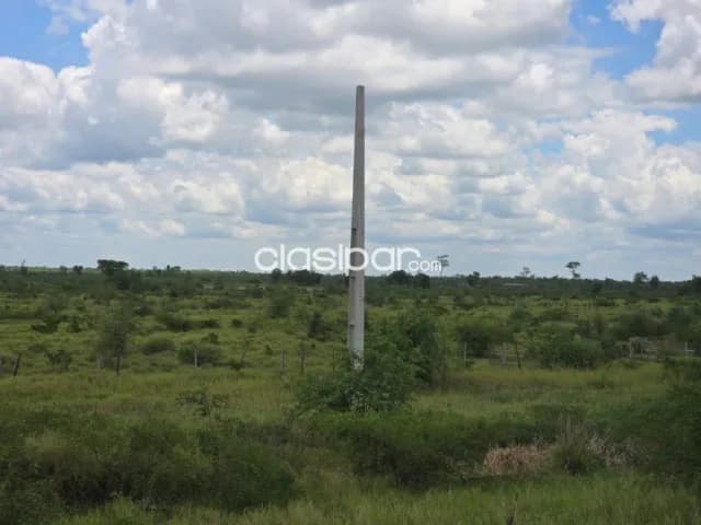 Campo en Carmelo Peralta sobre la Ruta Bioceanica - 80 Ha, foto 3