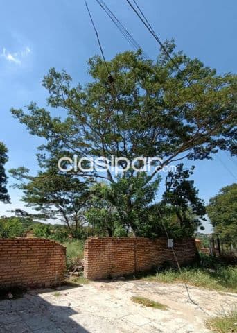 2 terrenos en lambare barrio san Isidro