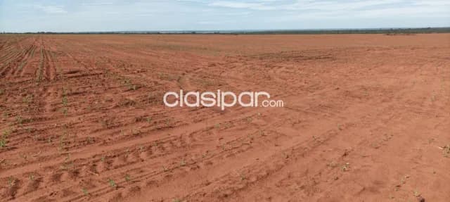 Campo Agrícola/Ganadero Mecanizado en Horqueta - 1330 Ha — foto 2