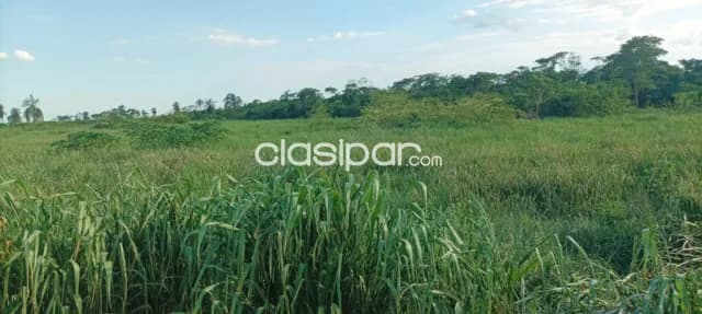 Campo Agrícola/Ganadero Mecanizado en Horqueta - 1330 Ha — foto 4