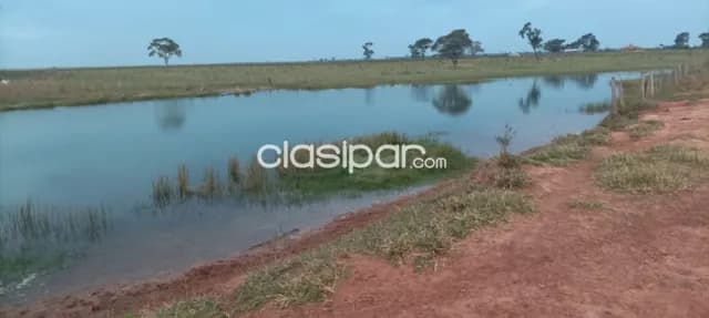 Campo Agrícola/Ganadero Mecanizado en Horqueta - 1330 Ha — foto 5