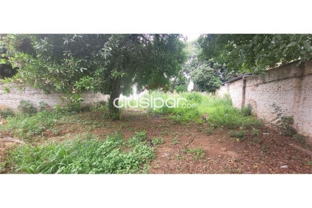 VENDE Terreno en Luque, foto 1