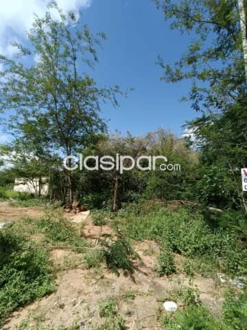 Terreno en Luque zona aeropuerto cod 4488 — foto 2