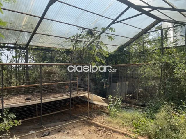 ¡Paraíso Turístico en Ypacaraí! Terreno con Laguna Natural - $875,000, foto 4