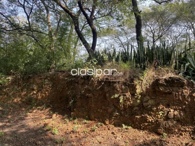 ¡Paraíso Turístico en Ypacaraí! Terreno con Laguna Natural - $875,000, foto 5