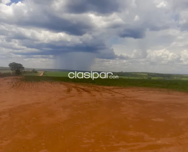 Campo Agrícola Mecanizado en Yby Pyta - 318 Ha — foto 2