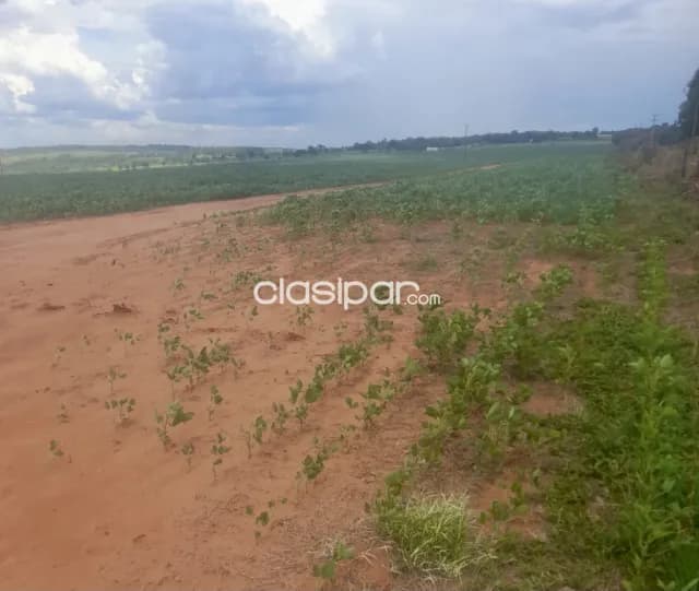 Campo Agrícola Mecanizado en Yby Pyta - 318 Ha — foto 3
