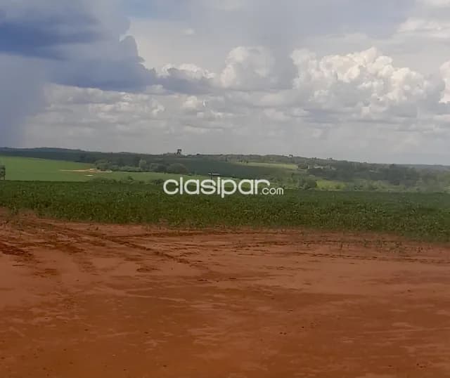 Campo Agrícola Mecanizado en Yby Pyta - 318 Ha — foto 4