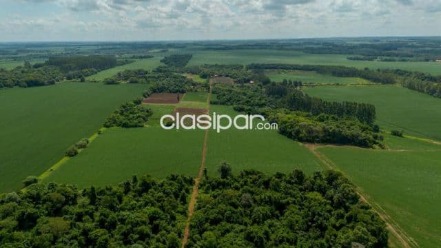 Terreno Agricola Mecanizado en Minga Guazú - 20 Ha