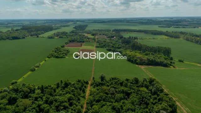 Terreno Agricola Mecanizado en Minga Guazú - 20 Ha, foto 2