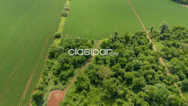 Terreno Agricola Mecanizado en Minga Guazú - 20 Ha, foto 3