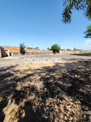 en Limpio amplio Terreno con Tinglado Zona Gral Elizardo Aquino — foto principal
