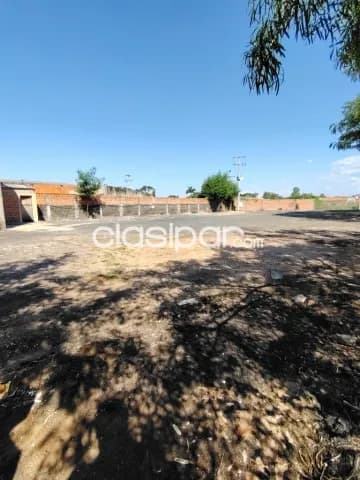 en Limpio amplio Terreno con Tinglado Zona Gral Elizardo Aquino — foto 2