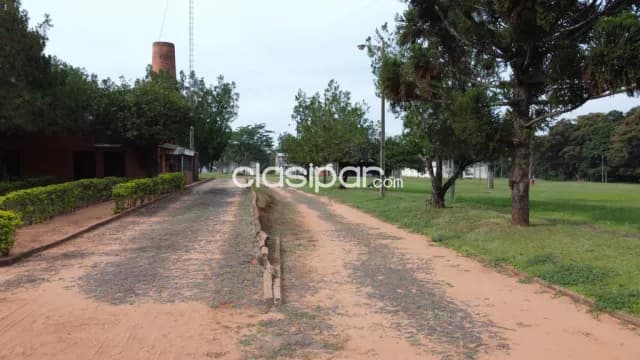 Gran campo con depósitos sobre ruta en liberación — foto 5