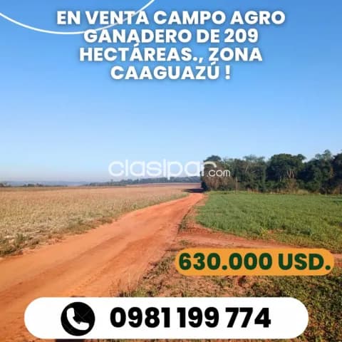 En venta campo agro ganadero de 209 has, ubicado en zona km. 195 ruta 2 caaguazu ! — foto 2