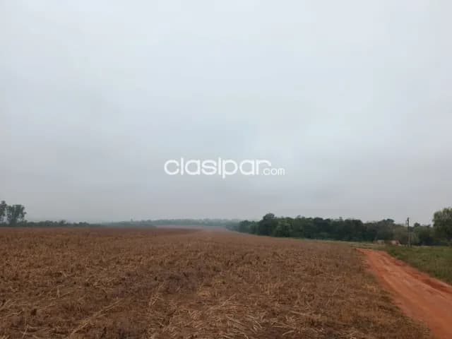 En venta campo agro ganadero de 209 has, ubicado en zona km. 195 ruta 2 caaguazu ! — foto 4