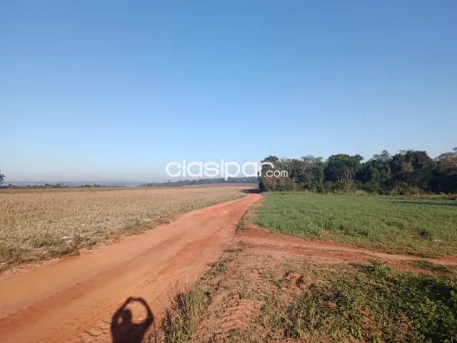 En venta campo agro ganadero de 209 has, ubicado en zona km. 195 ruta 2 caaguazu ! — foto 5