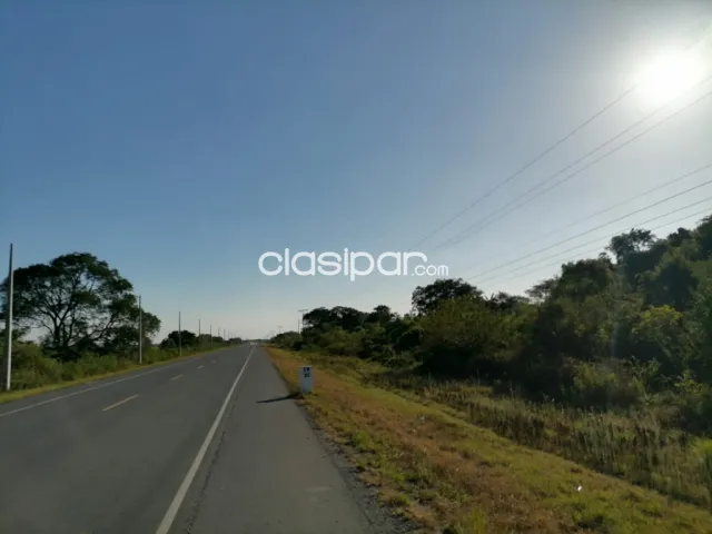 Campo Natural en Villa Oliva sobre Ruta y costa al Río Paraguay - 150 Ha — foto 4