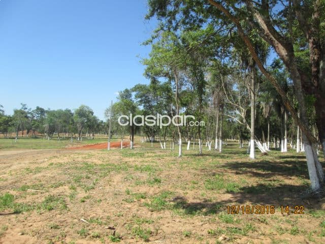 1 hectárea y media en Ita para todo emprendimiento una belleza por este mes, foto 1