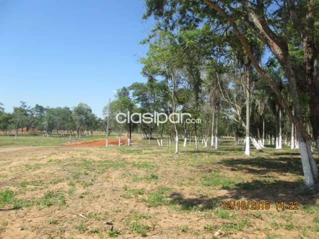 1 hectárea y media en Ita para todo emprendimiento una belleza por este mes, foto 2