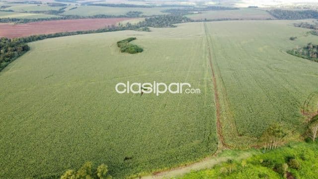 Campo Agrícola Mecanizado en San Rafael del Paraná - 362 Ha