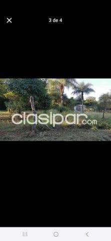Terrenos en Luque tarumandy — foto 1