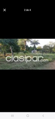 Terrenos en Luque tarumandy — foto 3