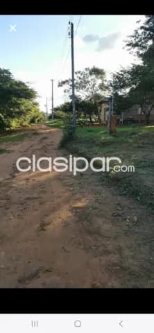 Terrenos en Luque tarumandy — foto 4