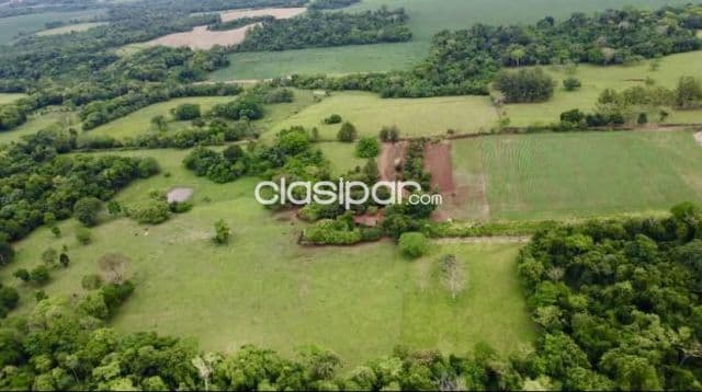Campo Agrícola/Ganadero Mecanizado en Carmen del Paraná- 57 Ha