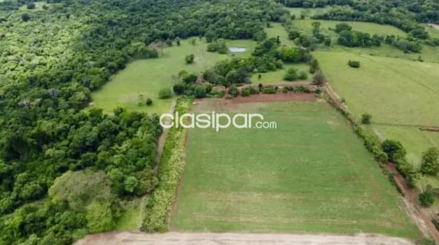 Campo Agrícola/Ganadero Mecanizado en Carmen del Paraná- 57 Ha — foto 3