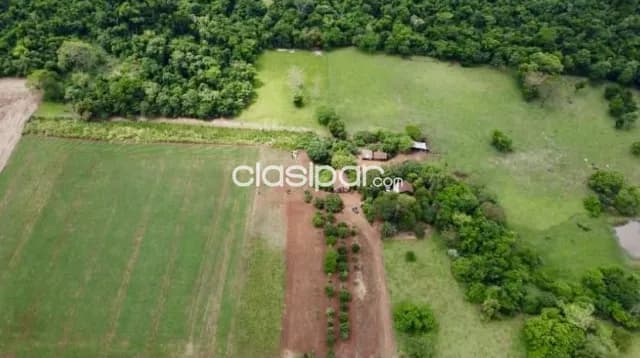 Campo Agrícola/Ganadero Mecanizado en Carmen del Paraná- 57 Ha — foto 4