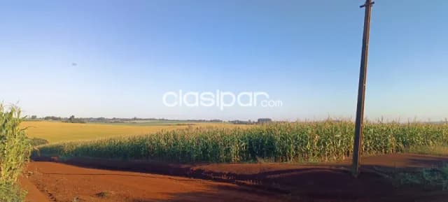Campo Agrícola/Ganadero Mecanizado en Natalio - 548 Ha — foto 2