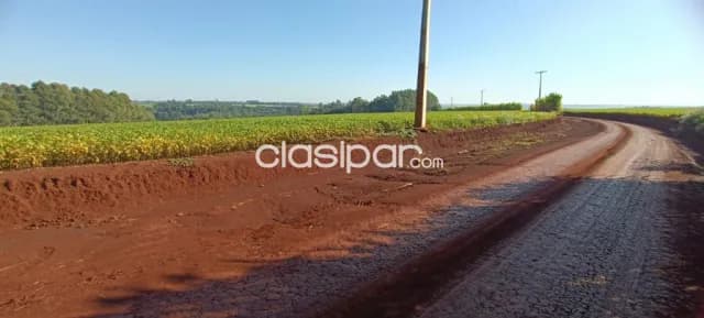 Campo Agrícola/Ganadero Mecanizado en Natalio - 548 Ha — foto 5