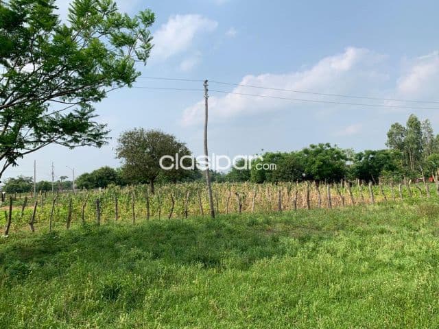 !!terreno ideal para casa de verano en cerrito ñeembucu!!