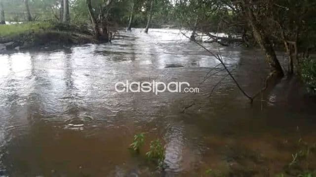 Nueva colombia vendo propiedad de 4,6 hectáreas con arroyo a 4 kms. De ruta