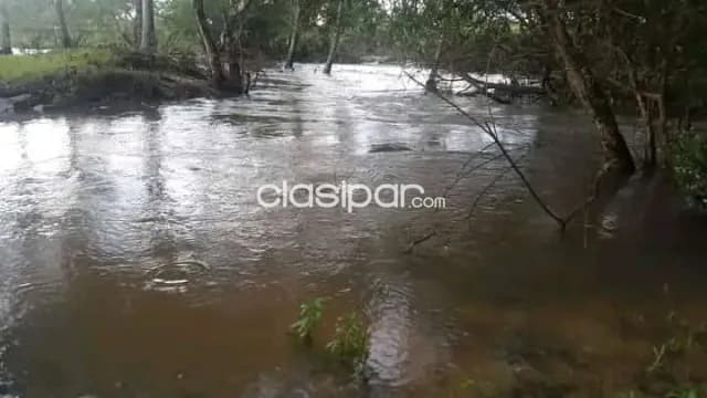 Nueva colombia vendo propiedad de 4,6 hectáreas con arroyo a 4 kms. De ruta, foto 2