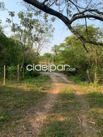 Nueva colombia vendo propiedad de 4,6 hectáreas con arroyo a 4 kms. De ruta, foto 4