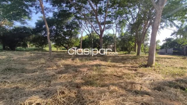 Terreno de 2.814m2 en marambure - Luque, foto 4