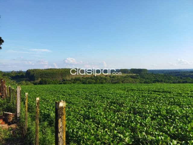 Campo Agrícola/Ganadero Mecanizado en Presidente Franco - 32 Ha