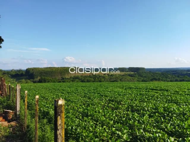Campo Agrícola/Ganadero Mecanizado en Presidente Franco - 32 Ha, foto 2