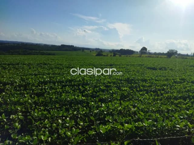 Campo Agrícola/Ganadero Mecanizado en Presidente Franco - 32 Ha, foto 5