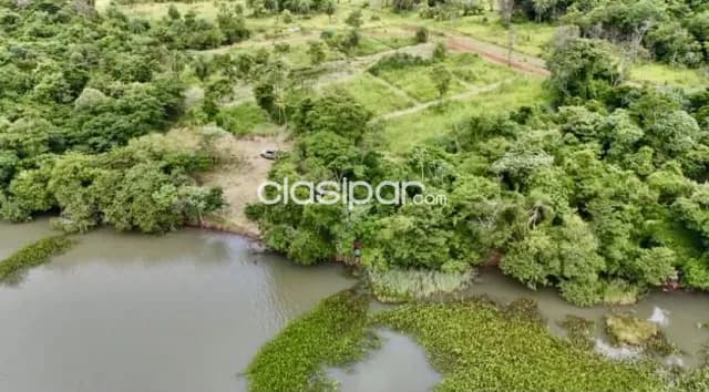 Terreno Rural en Ciudad del Este Km 12 - 1 Ha, foto 4